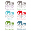 ESRG Investments